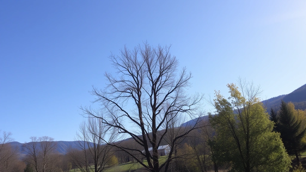 competitive dog feeding schedule -
natural daylight
