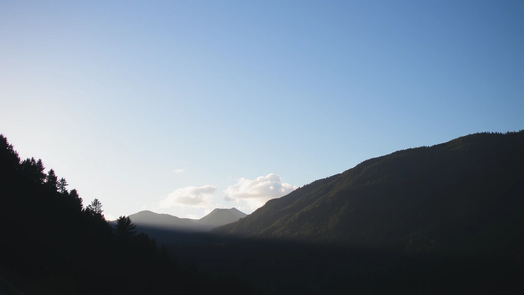 do dogs have hairballs -
natural lighting
