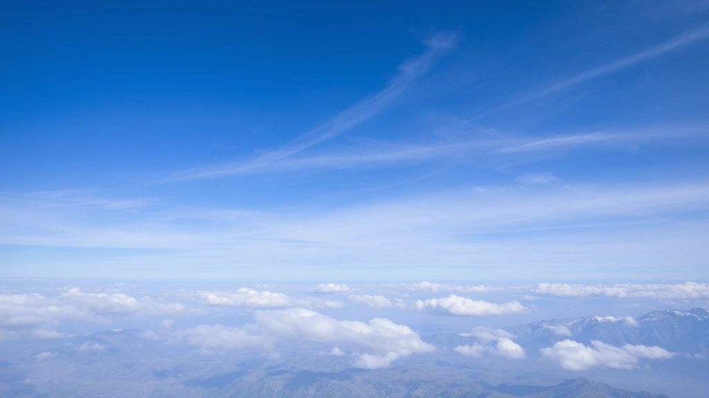 dog cave bed -
no text
