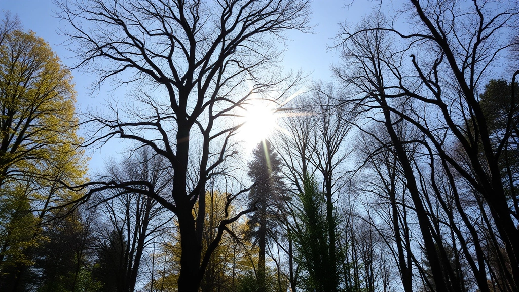 dog chain -
natural daylight
