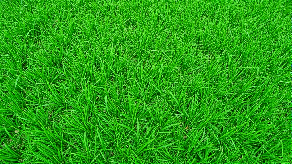 dog constantly licking paws -
green lawn background
