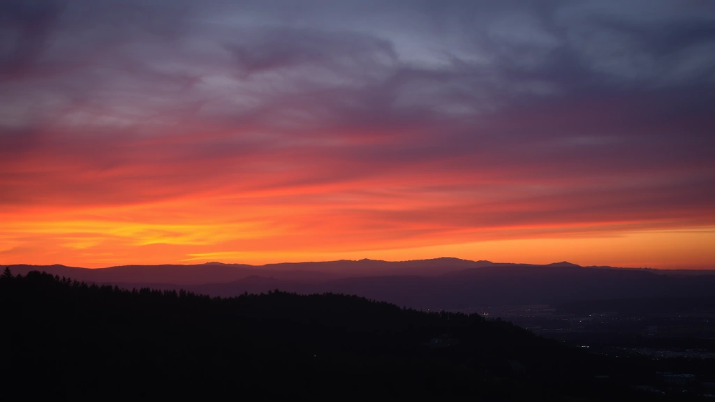 dog friendly bars near me -
sunset lighting
