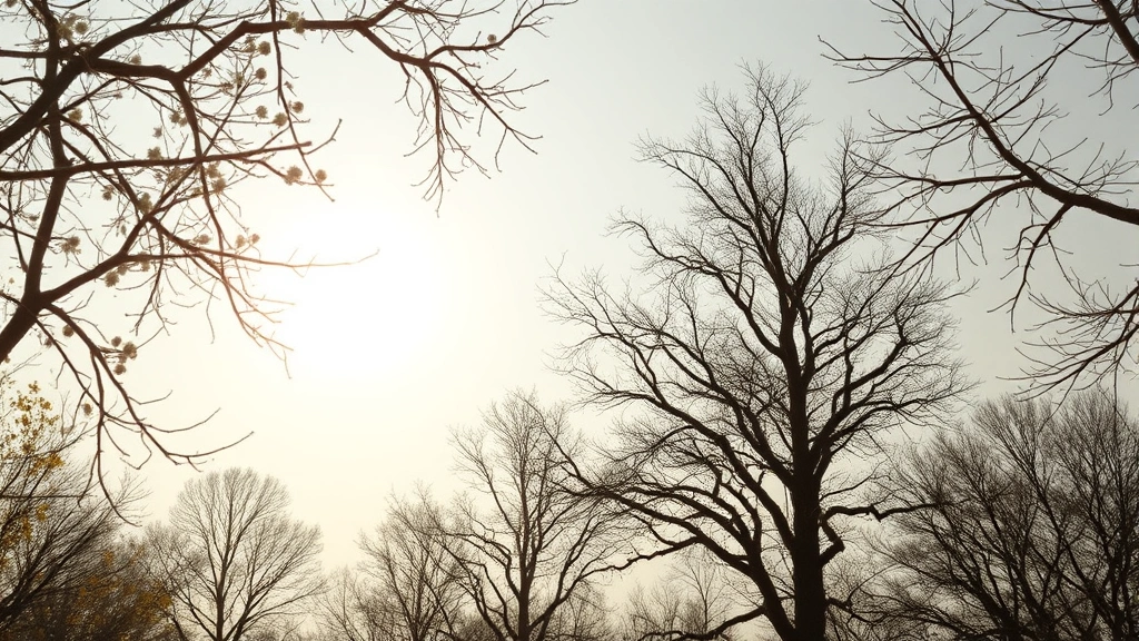 dog with diarrhea -
soft daylight
