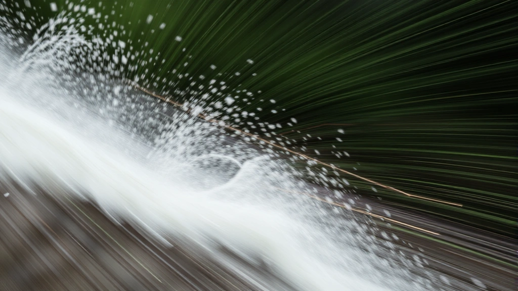 dogs and sledges -
dynamic motion
