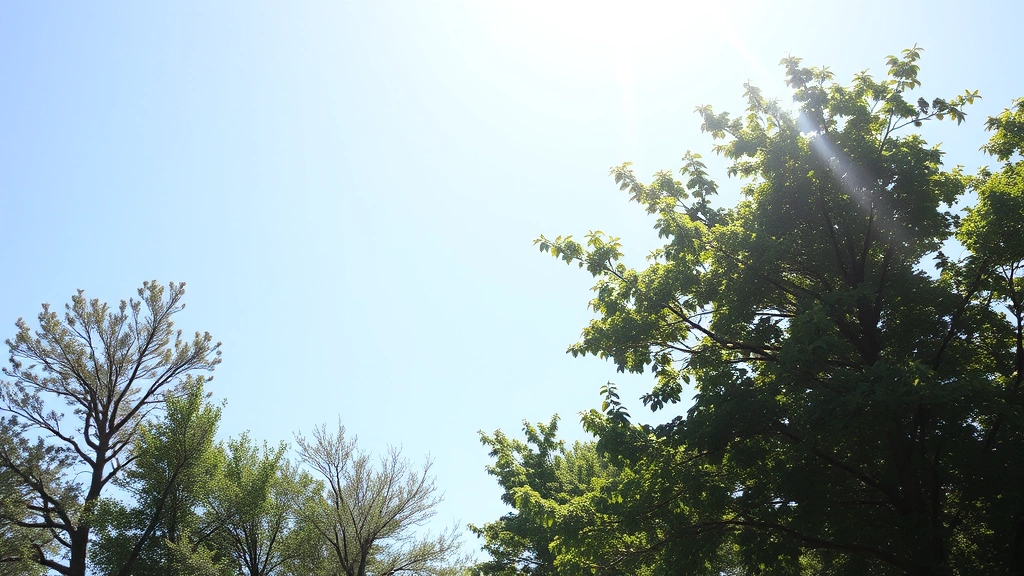 grapes and raisins in dogs -
natural daylight

