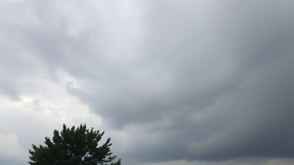 indoor-outdoor pet feeding -
overcast natural lighting