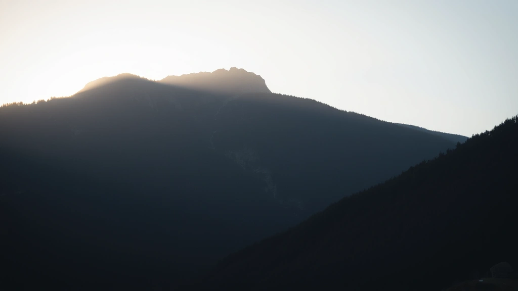 is pepperoni bad for dogs -
natural lighting