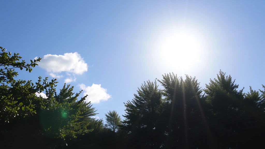 parvo immunization dogs -
bright sunny day