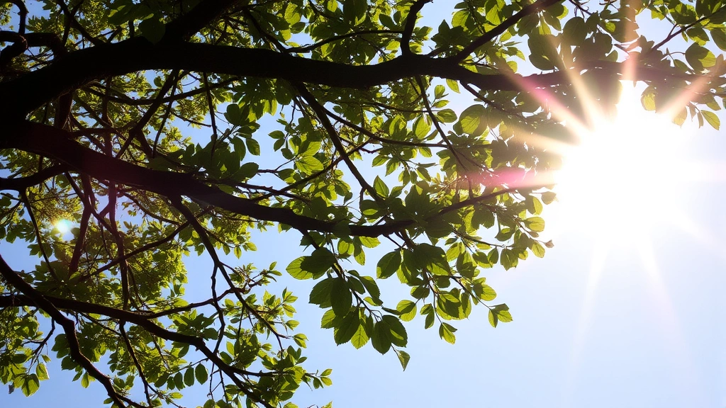 sustainable cat litter -
natural sunlight