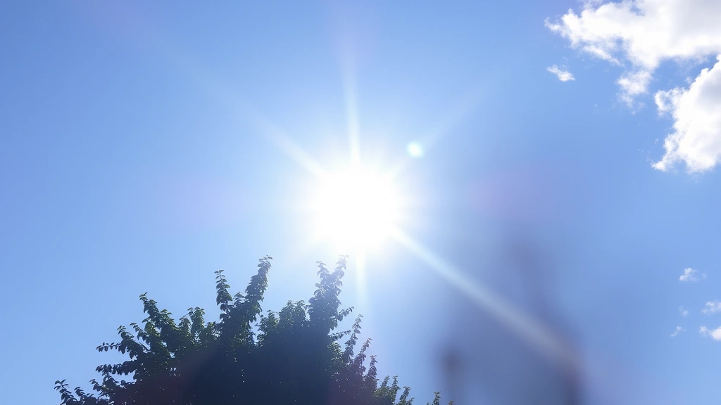 the salty dog cafe south carolina -
natural daylight