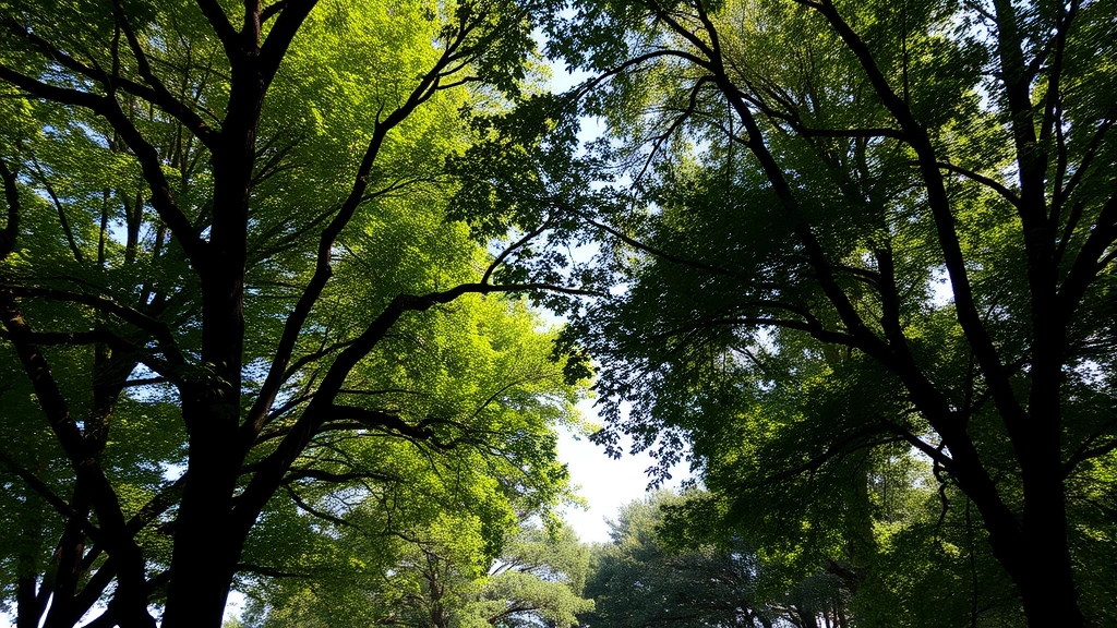 what temp is too hot for a dog -
with shade from trees visible in the background