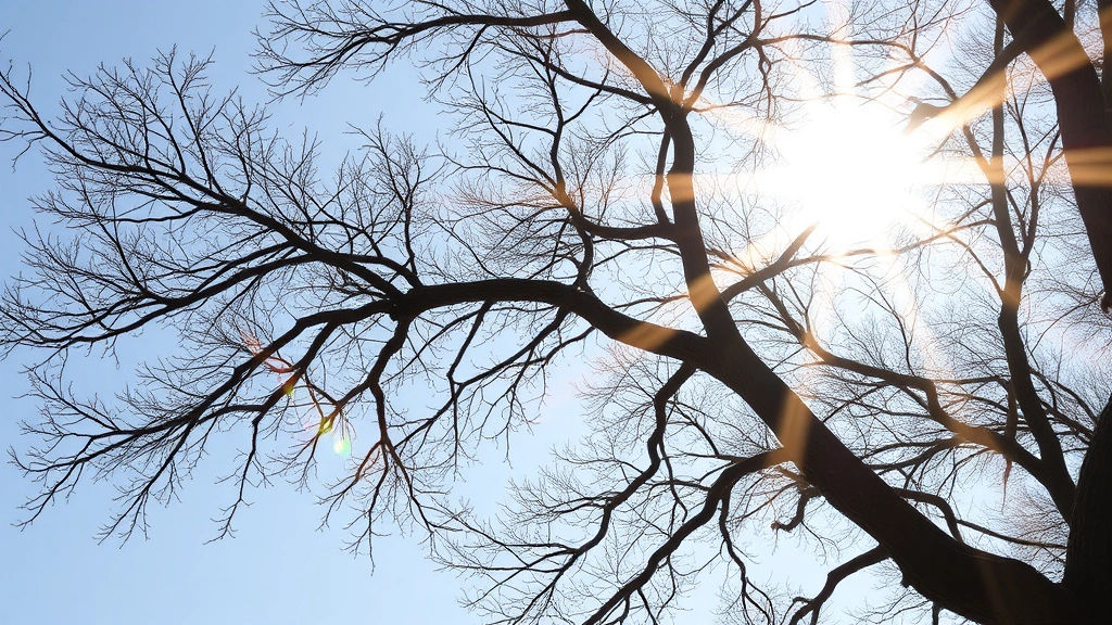 what to put in dog food to stop eating poop -
natural daylight
