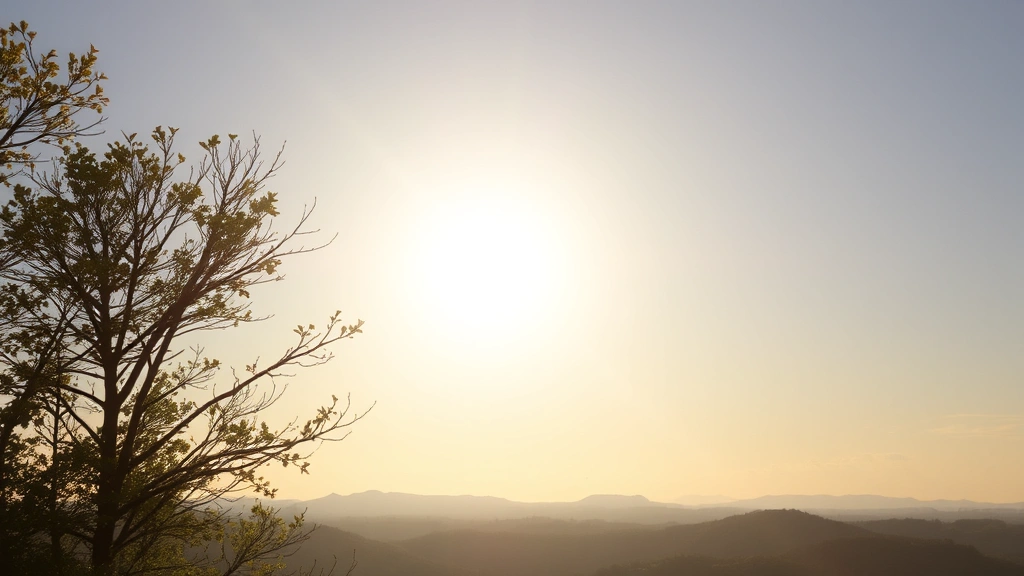 why do dogs shake their toys -
afternoon sunlight
